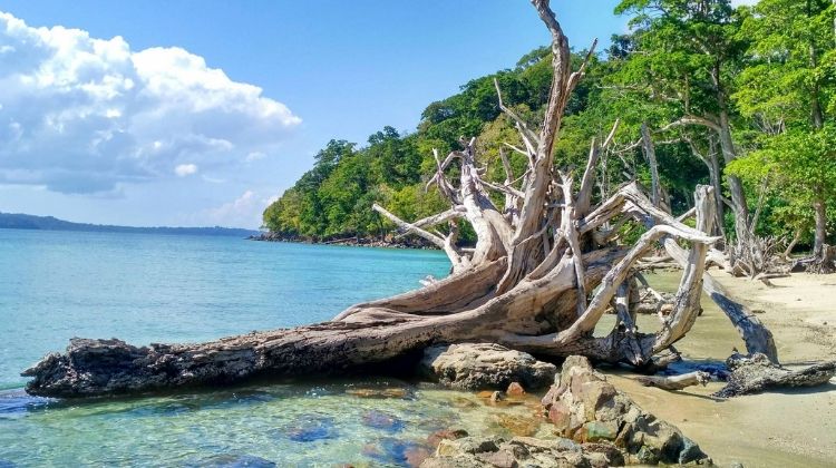 CHIDIYA TAPU BEACH (PORT BLAIR)